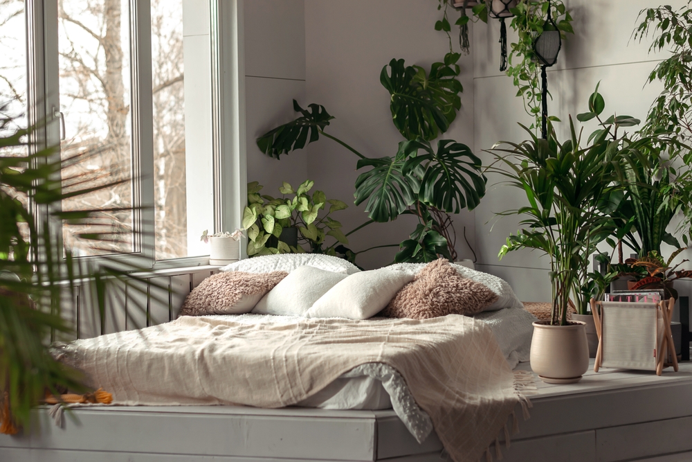 Top 6 Plants For Your Bedroom