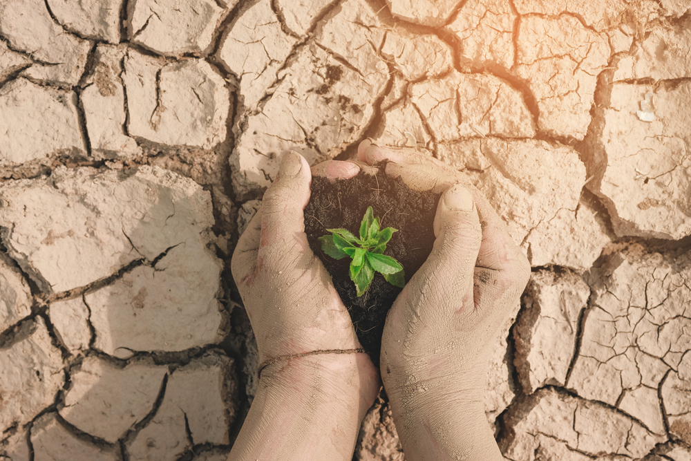 What is climate anxiety and why is it trending?