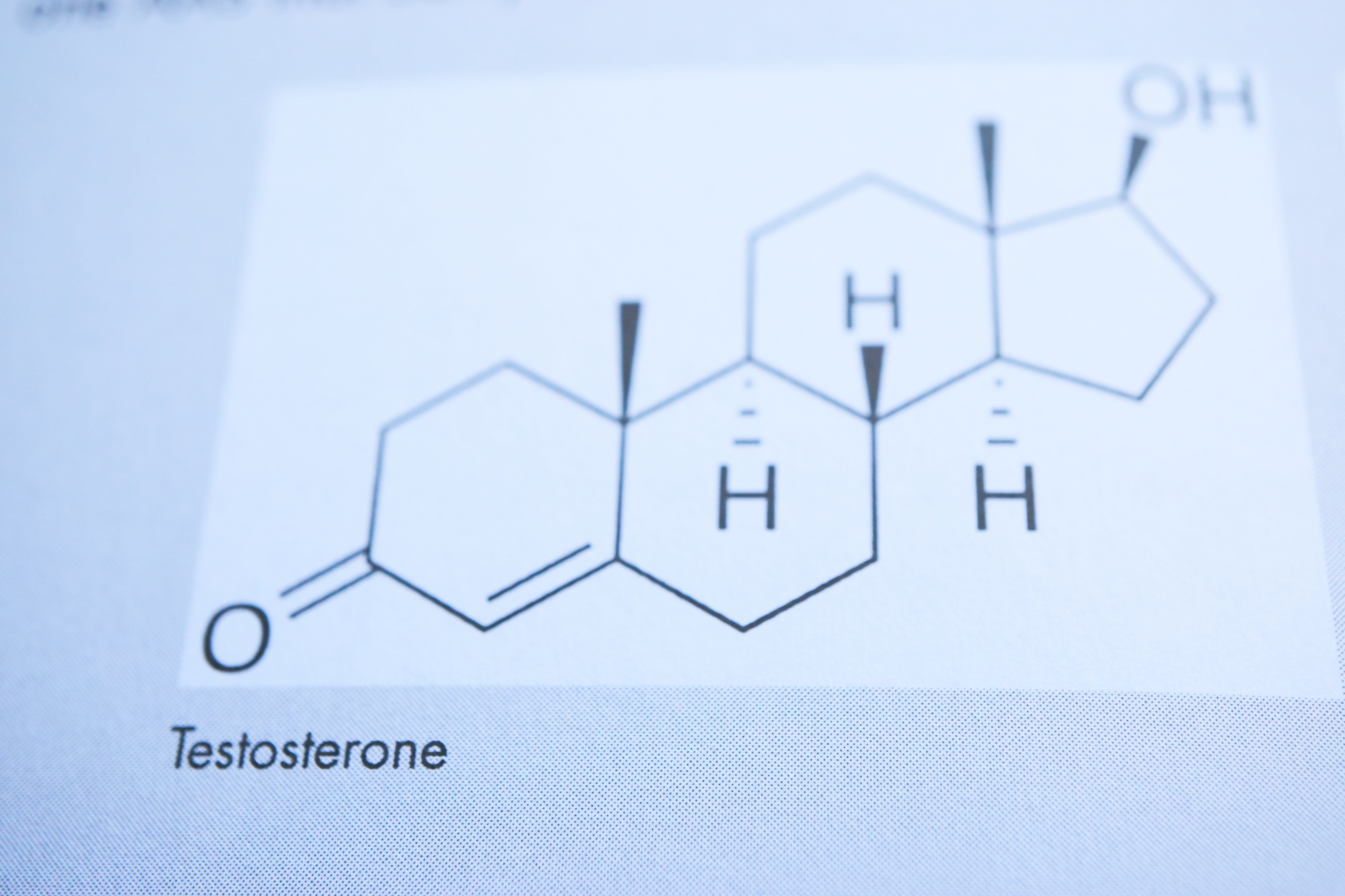 How To Increase Testosterone Naturally